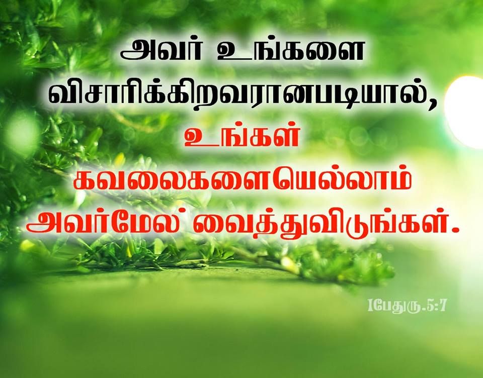 parole della bibbia tamil hd wallpaper,natura,verde,testo,foglia,paesaggio naturale