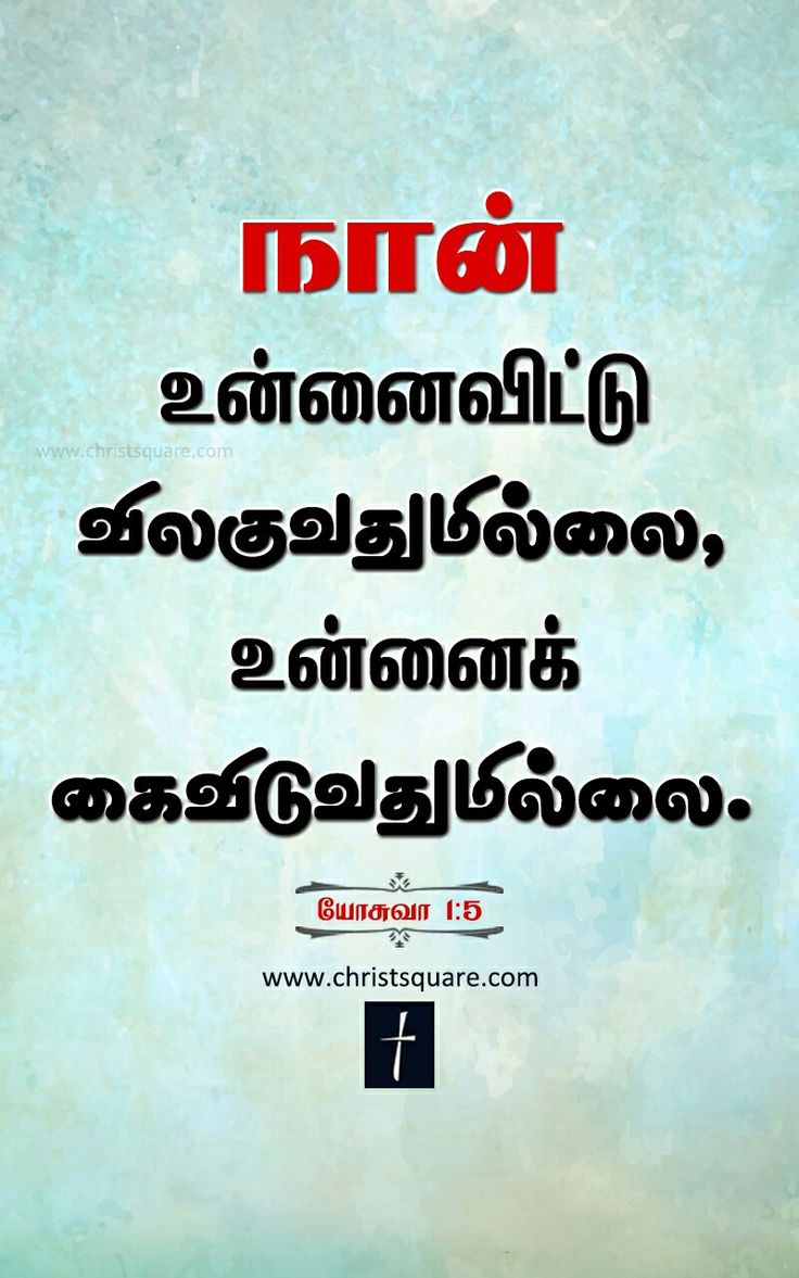 parole della bibbia tamil hd wallpaper,testo,font,manifesto