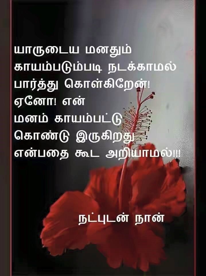tamil wallpaper quotes,text,red,font,organism,petal