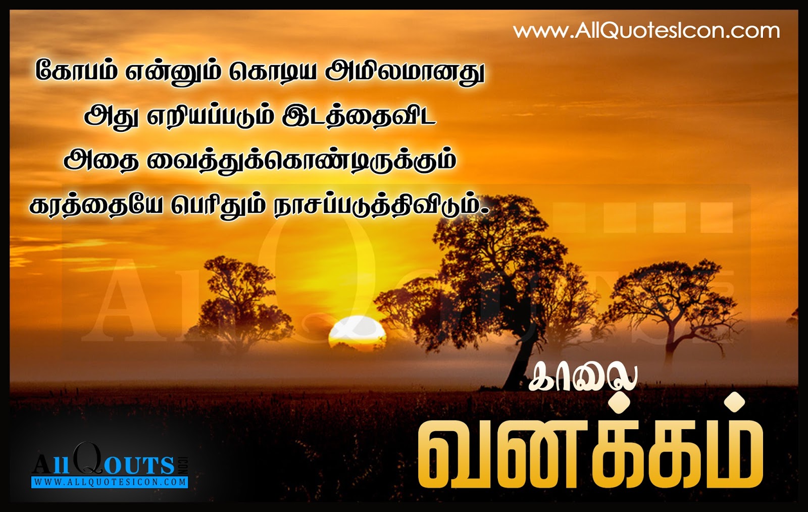 citations de papier peint tamoul,ciel,paysage naturel,texte,matin,lever du soleil