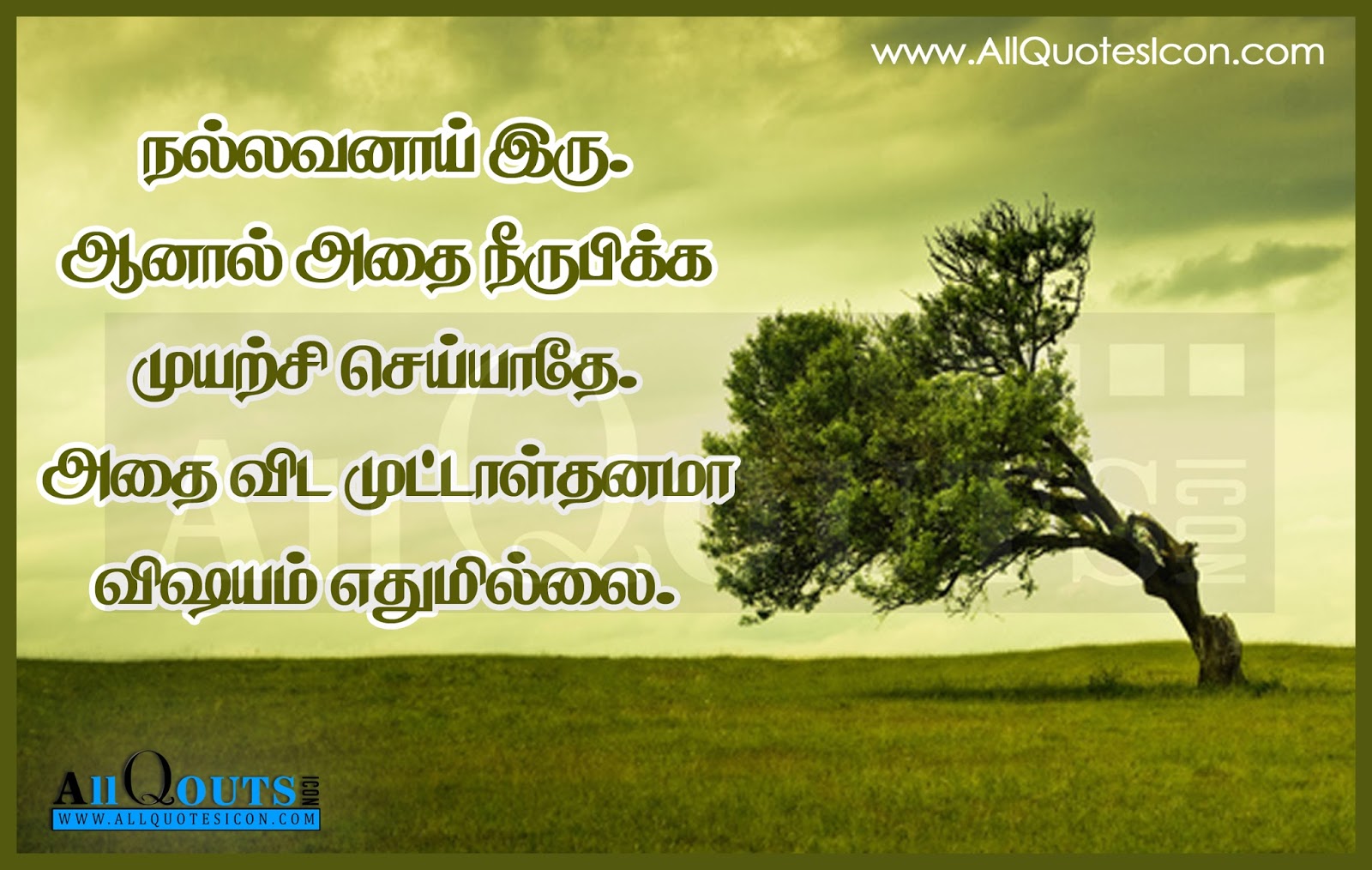 citations de papier peint tamoul,paysage naturel,la nature,texte,arbre,ciel