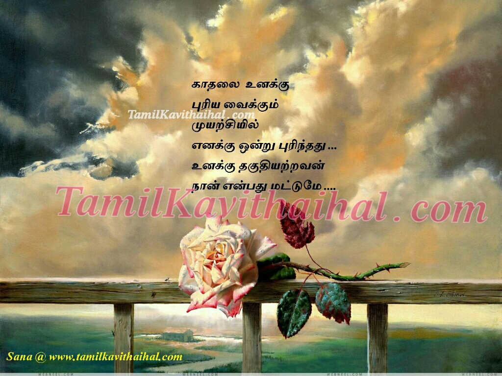 タミル語壁紙kavithai,自然,空,朝,テキスト,雲