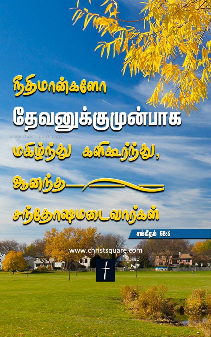 tamil bible words wallpaper free download,natural landscape,nature,sky,tree,morning