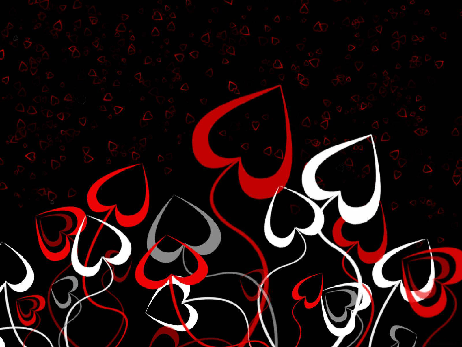 愛のデザインの壁紙,フォント,赤,黒,テキスト,グラフィックデザイン