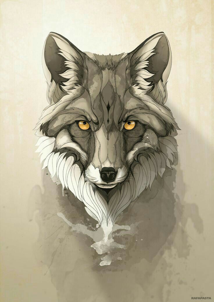 fox phone wallpaper,canidae,head,drawing,illustration,wildlife