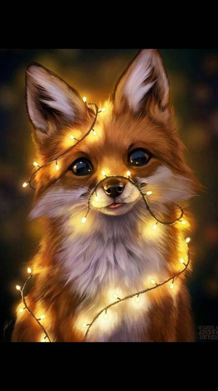 cool fox wallpaper,mammal,canidae,dog,dog breed,snout