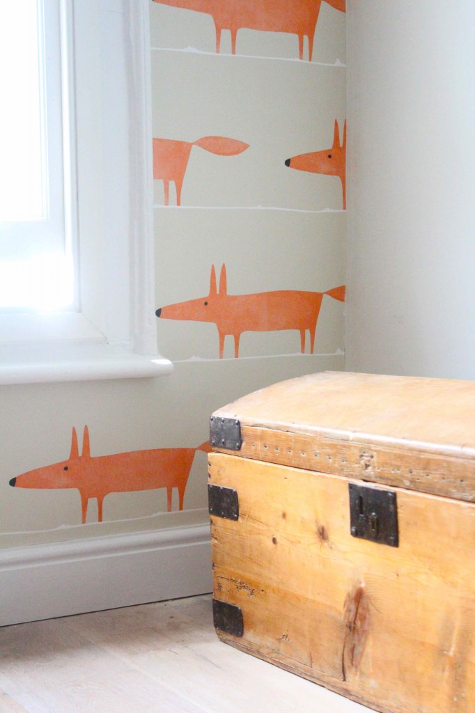 scion fox wallpaper,orange,furniture,room,wall,table