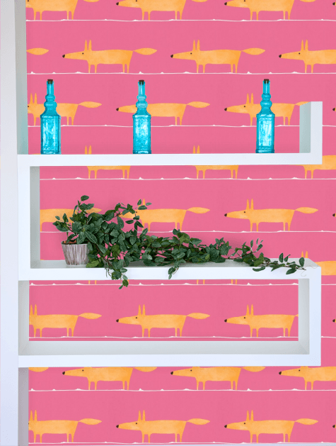 scion fox wallpaper,shelf,pink,shelving,line,rectangle