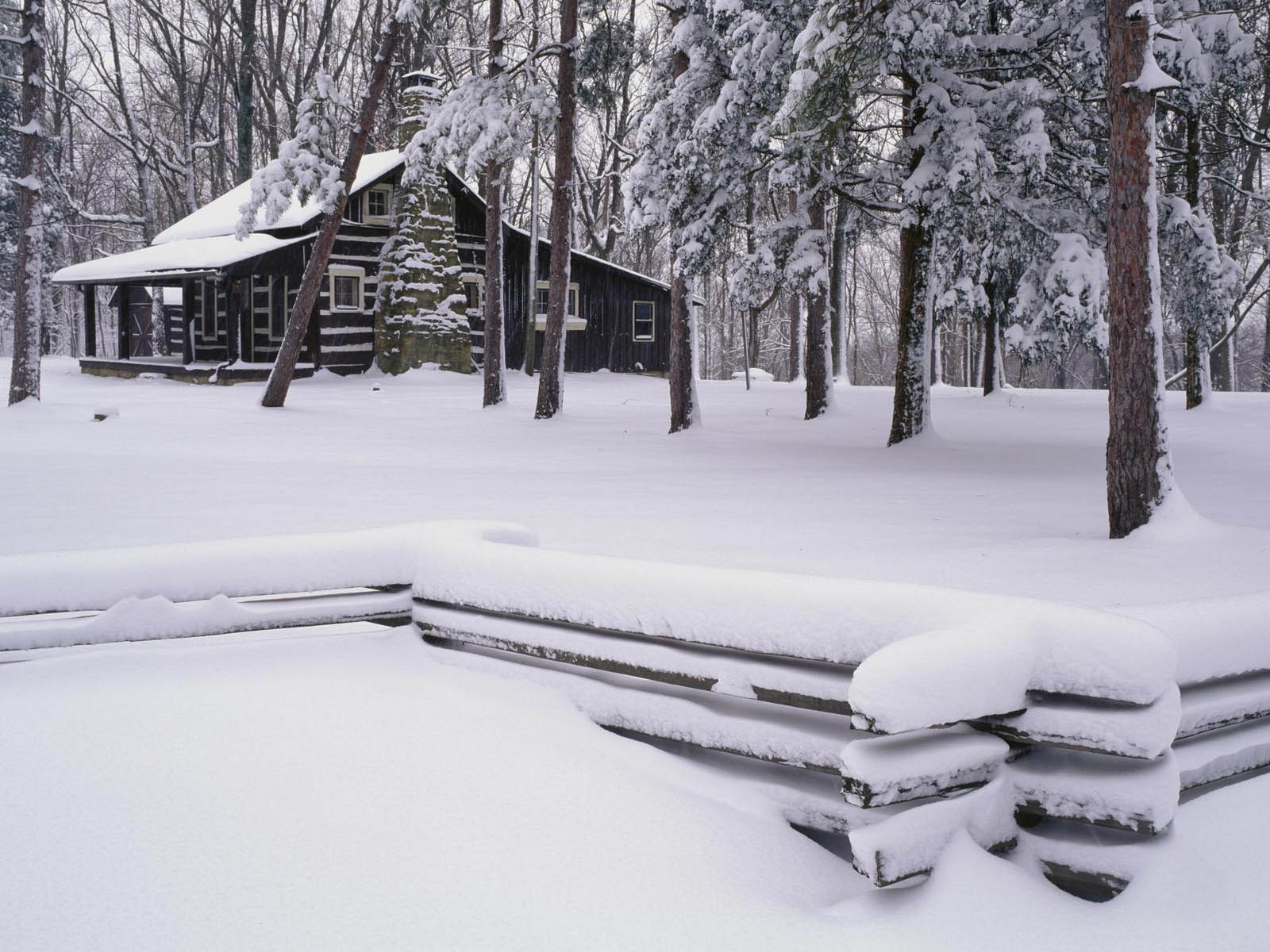 fond d'écran de neige gratuit,neige,hiver,gelé,arbre,cabane en rondins