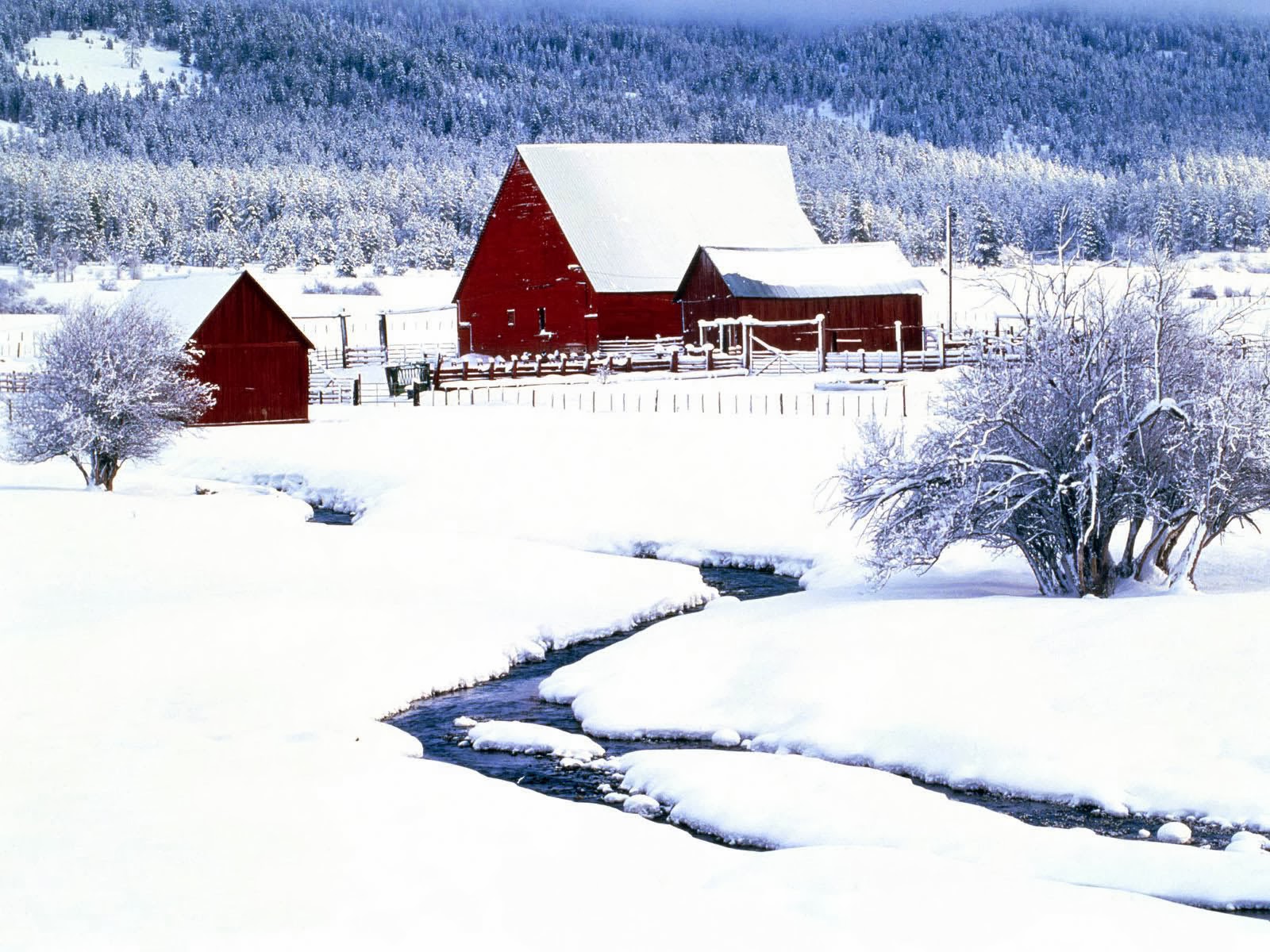 fond d'écran de neige gratuit,neige,hiver,maison,paysage naturel,gelé