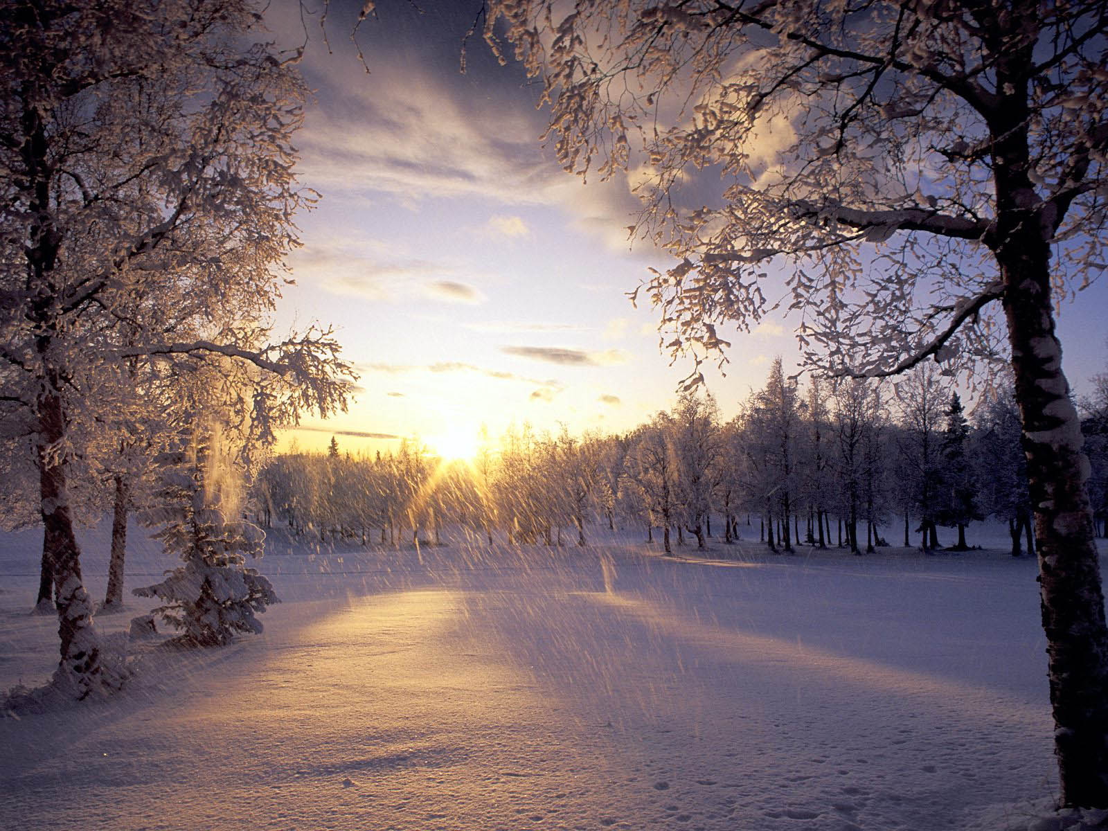 fondo de pantalla de nieve gratis,cielo,nieve,invierno,paisaje natural,naturaleza
