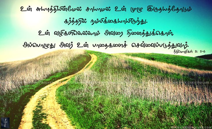 carta da parati bibbia tamil,paesaggio naturale,natura,testo,mattina,erba
