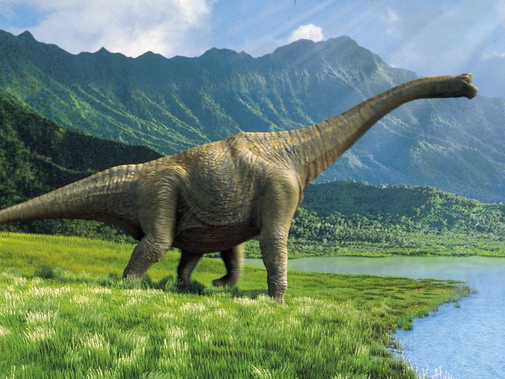 dinosaur wallpaper,dinosaur,nature,terrestrial animal,natural landscape,wildlife