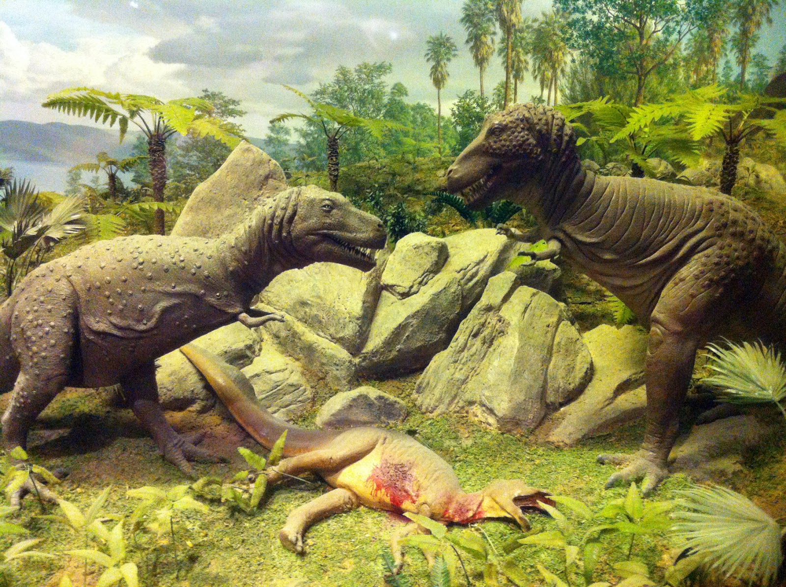 fond d'écran de dinosaure,dinosaure,tyrannosaure,animal terrestre,velociraptor,troodon