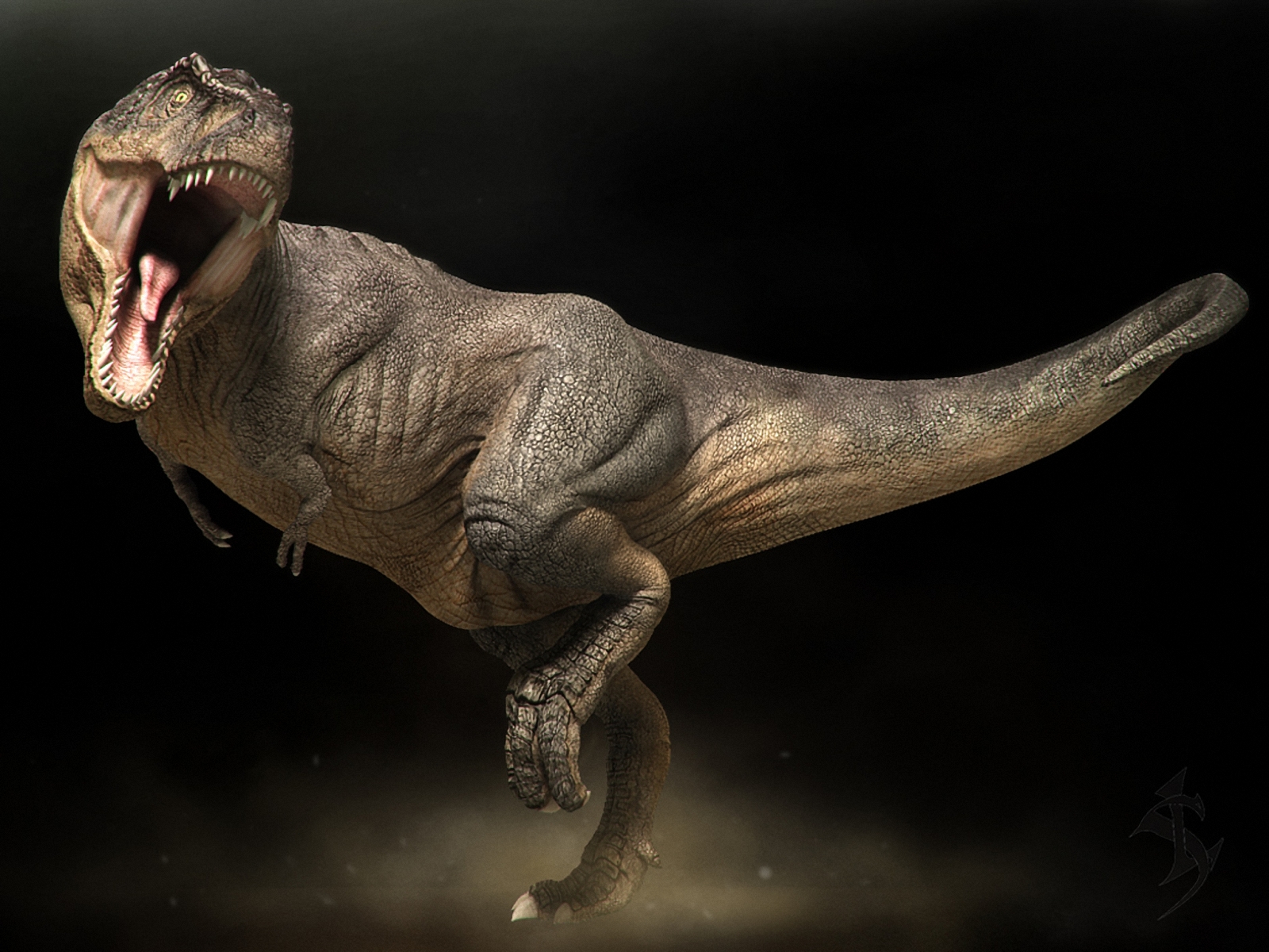 carta da parati dinosauro,dinosauro,tirannosauro,velociraptor,animale terrestre,modellazione 3d