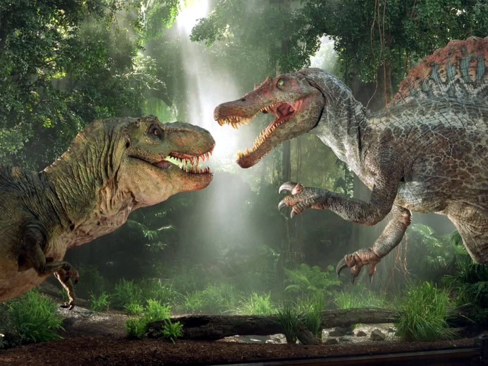 恐竜の壁紙,恐竜,自然,ティラノサウルス,ヴェロキラプトル,陸生動物