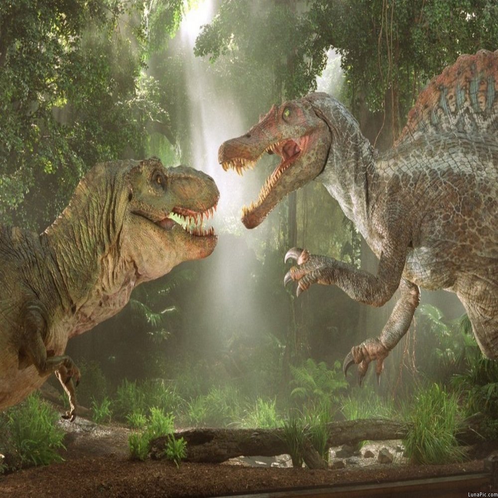 恐竜の壁紙,恐竜,ティラノサウルス,自然,ヴェロキラプトル,陸生動物