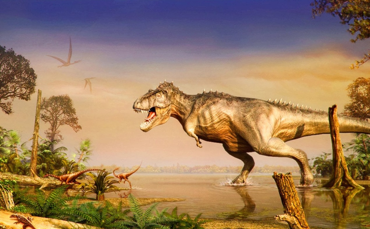 carta da parati dinosauro,dinosauro,tirannosauro,velociraptor,natura,troodon