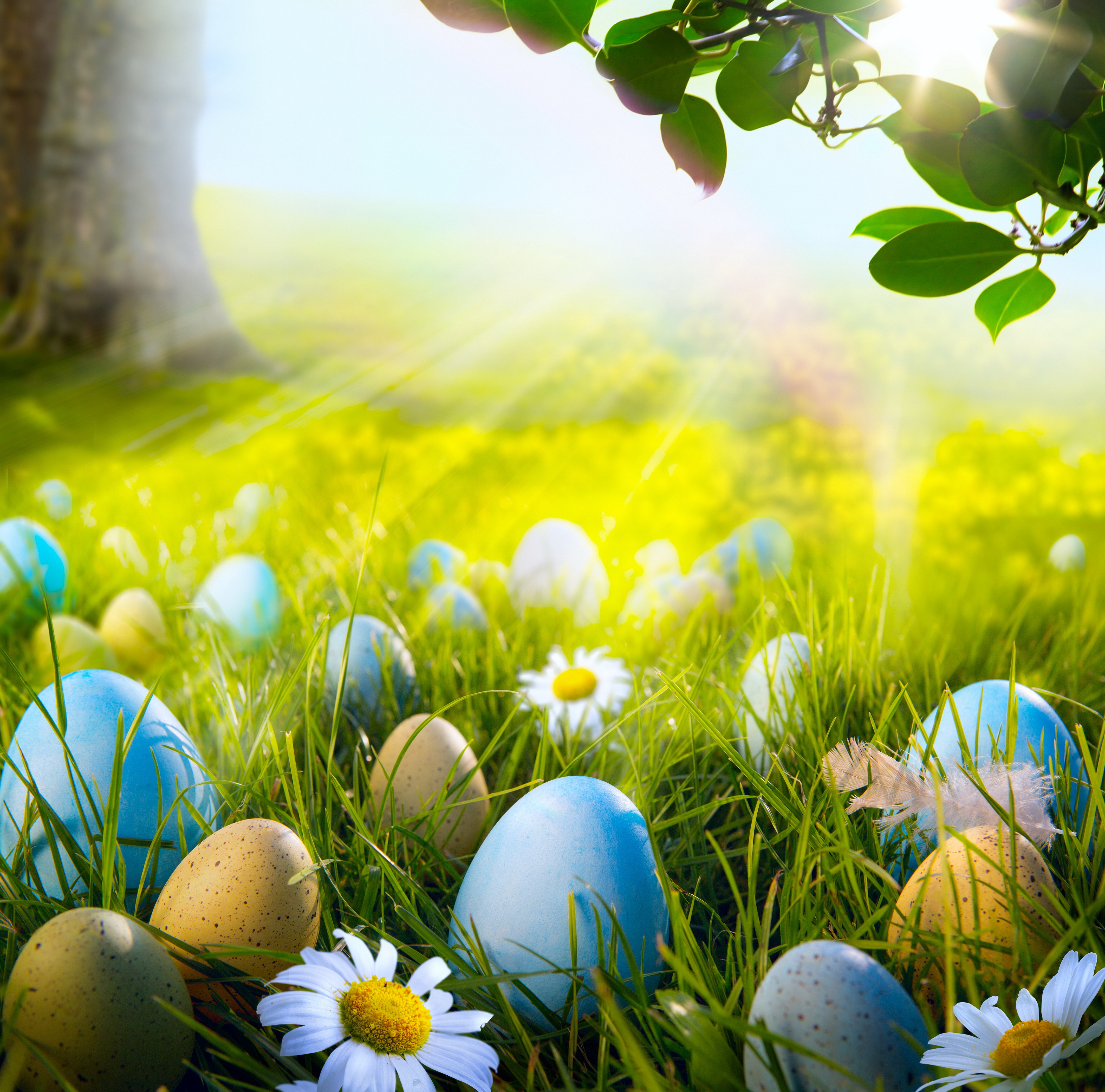 easter wallpaper,people in nature,easter egg,nature,natural landscape,grass