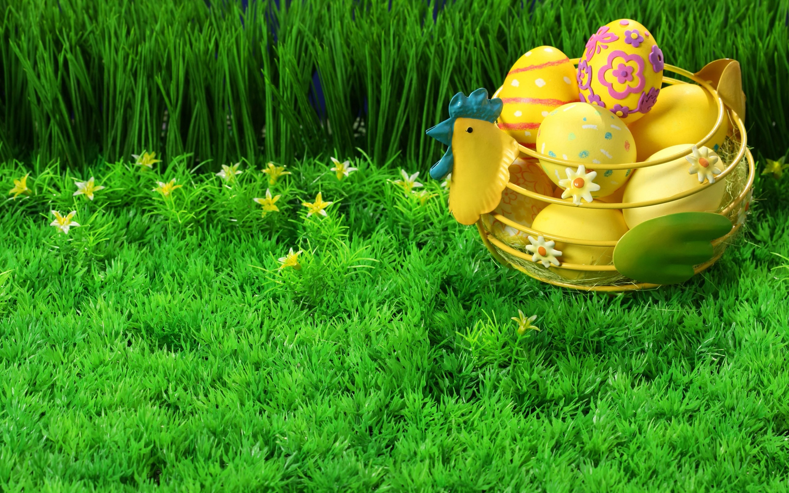 easter wallpaper,grass,grass family,plant,lawn,meadow