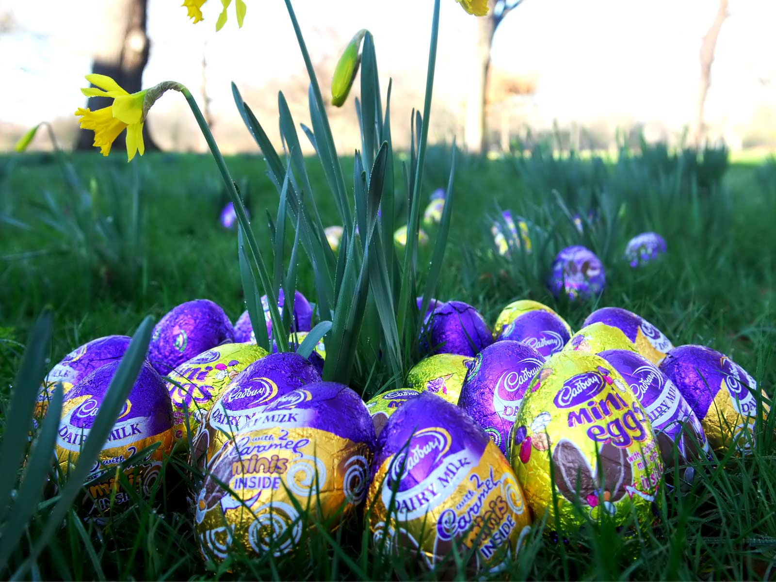 Disegno Delle Uova Di Pasqua. Decorazioni Dipinte Disegni Con Piante Da Fiori Erbe Conigli Naturali Molla Dipinti Per Decorazione Image265306271