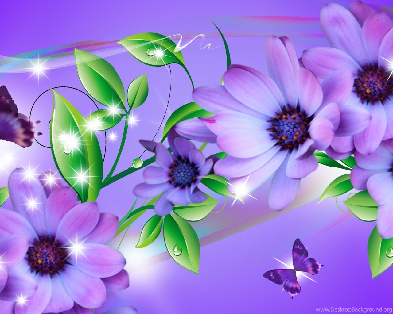 flor fondos de pantalla hd,púrpura,flor,violeta,lila,pétalo