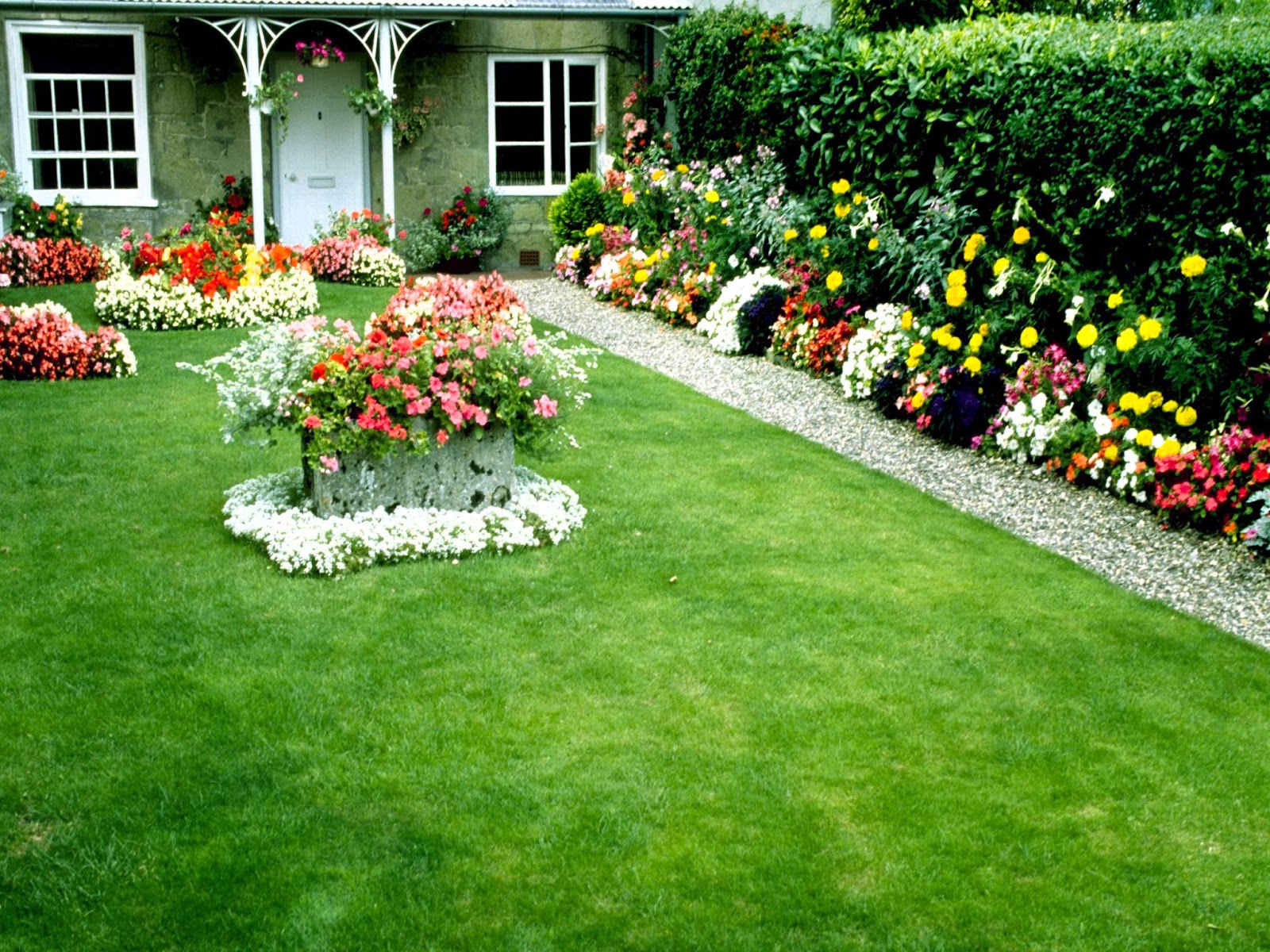 wallpaper nature flowers,lawn,garden,grass,yard,plant