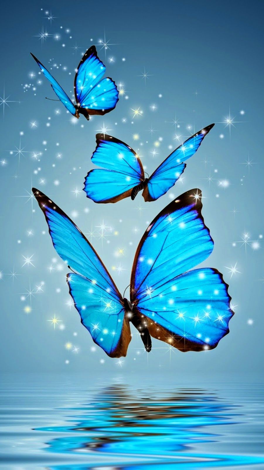 hd wallpaper for android mobile,butterfly,blue,insect,moths and butterflies,azure