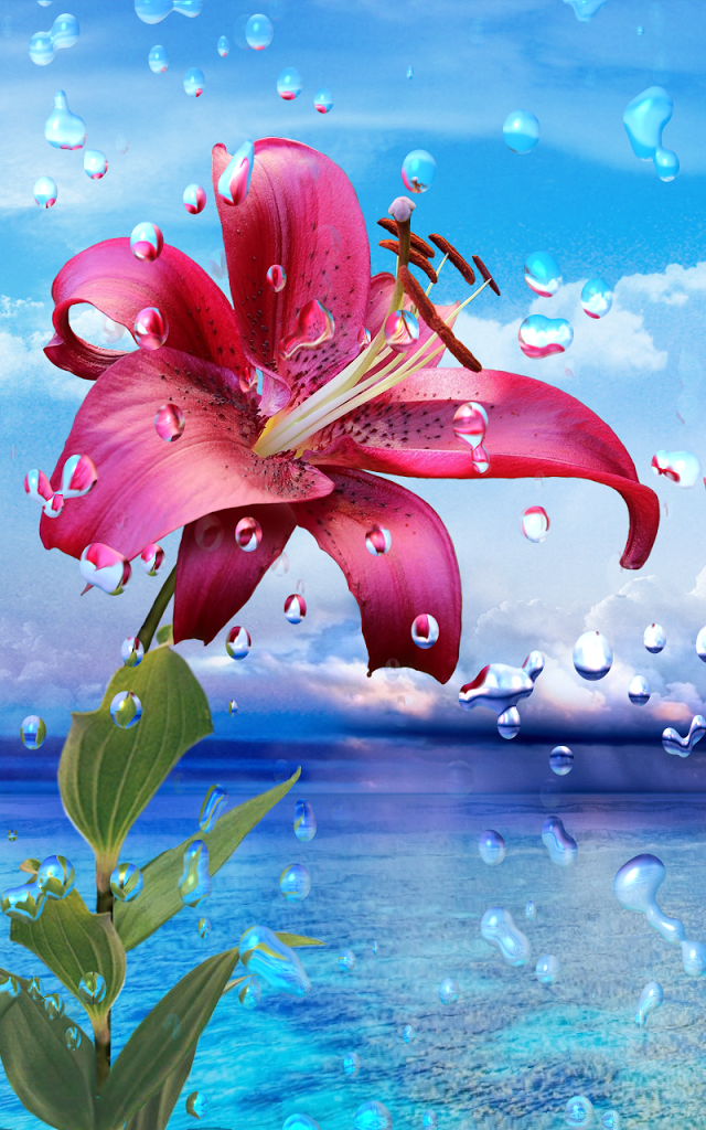 hd wallpaper for android mobile,lily,petal,flower,water,sky