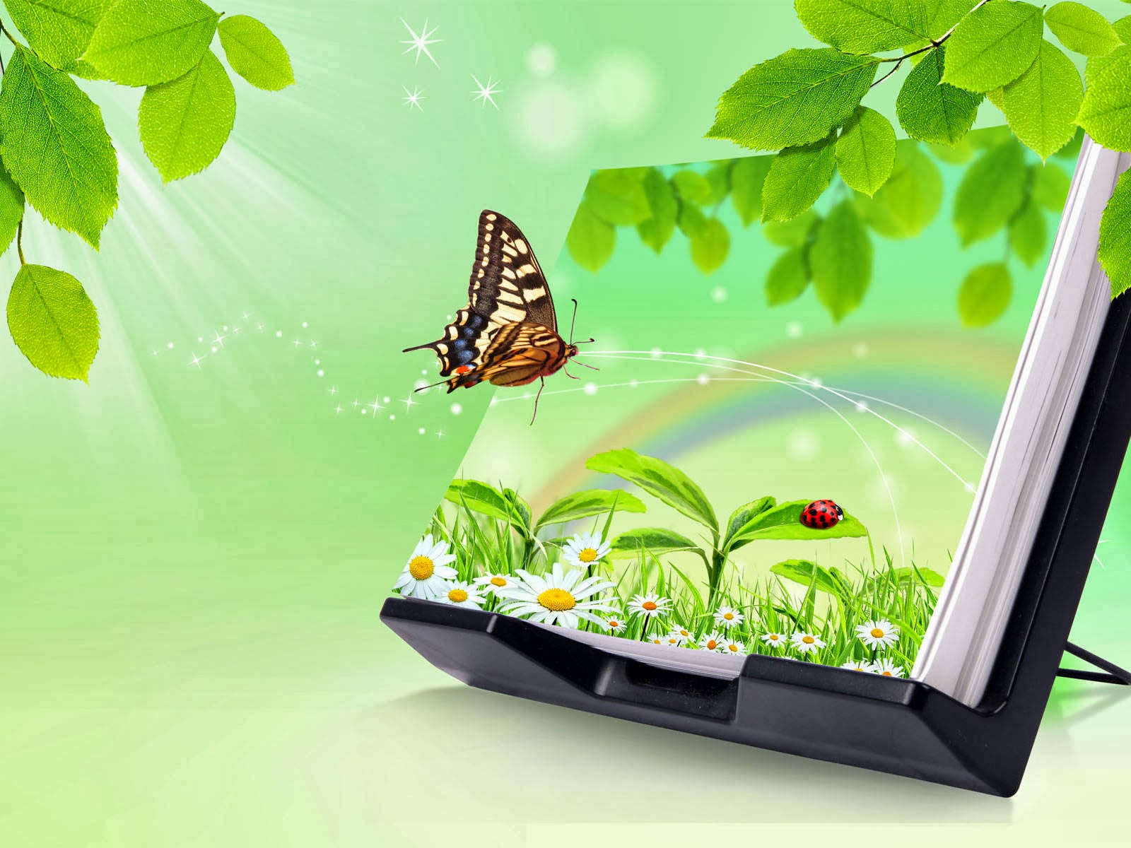 download di sfondi 3d,la farfalla,verde,insetto,natura,falene e farfalle