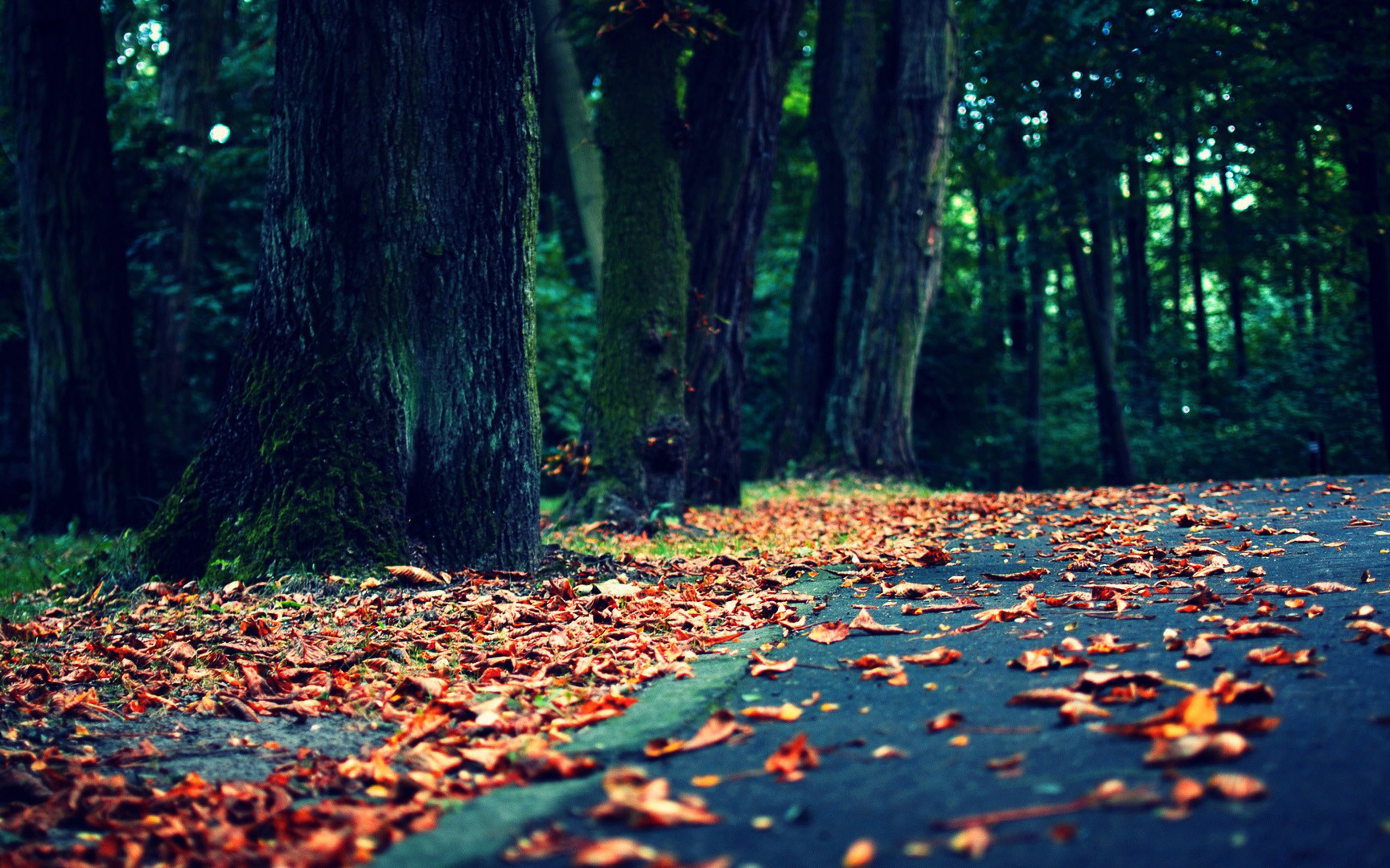 vintage wallpaper,natural landscape,tree,leaf,nature,natural environment