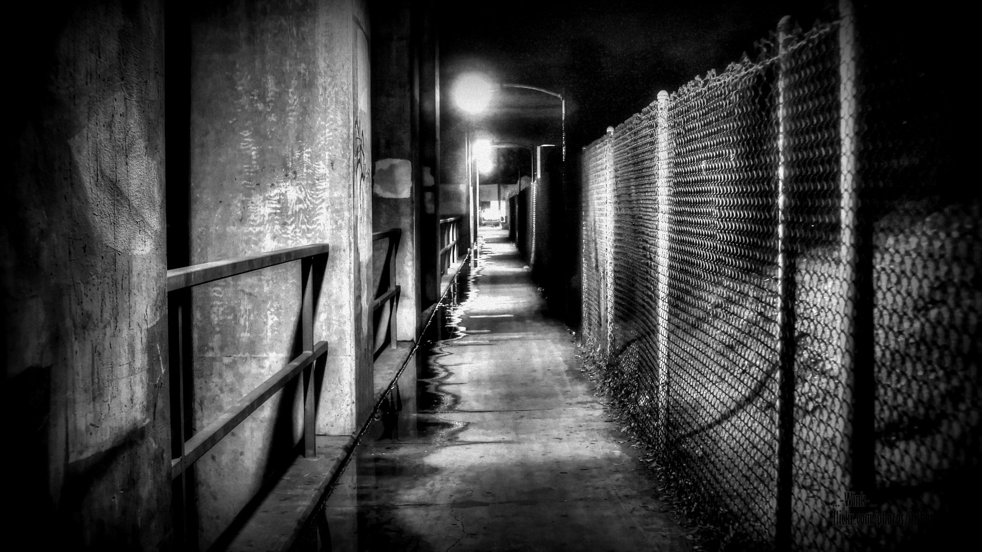 260985 Title Photography Black & White Wallpaper - Fence Background