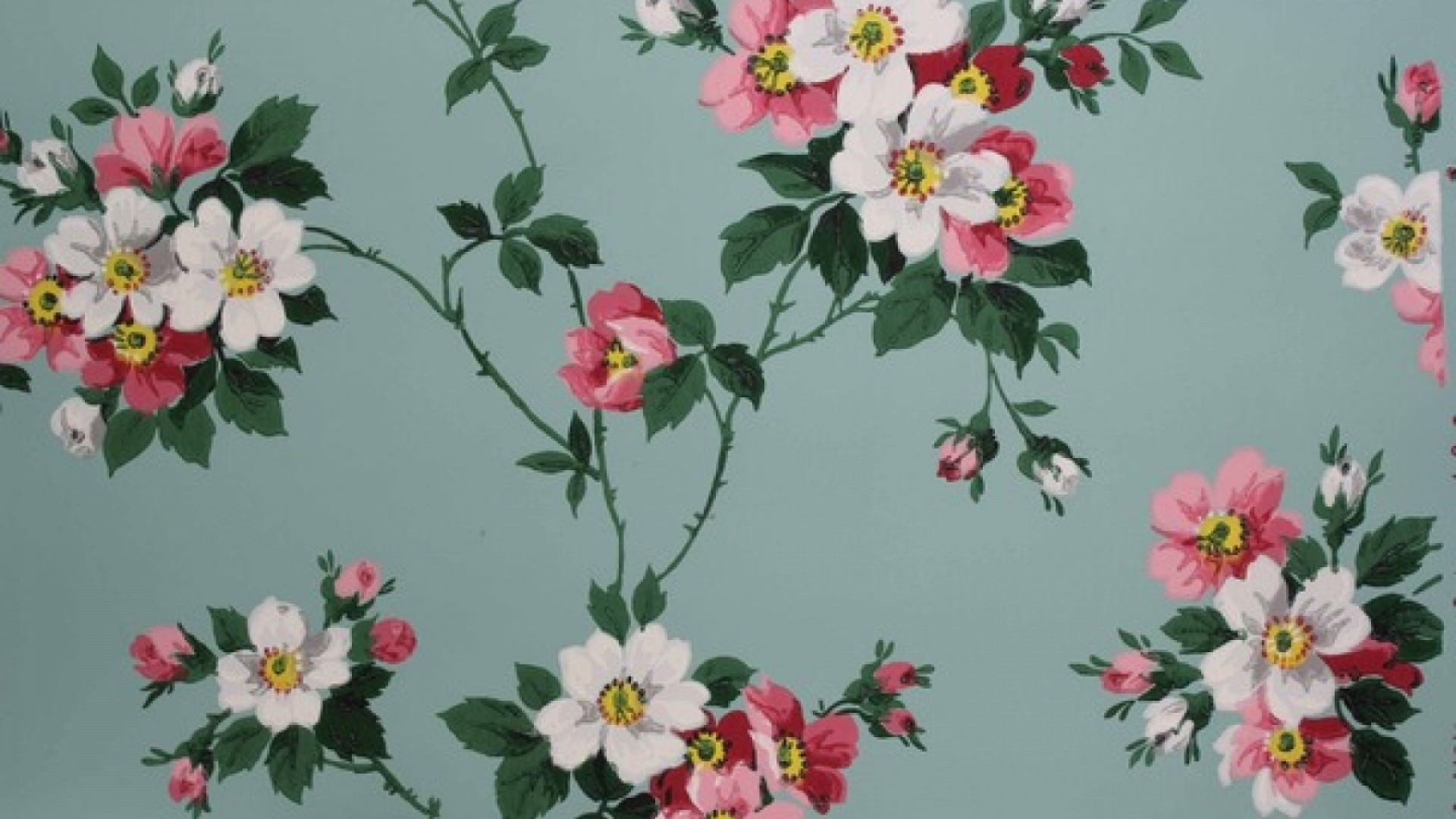 floral wallpaper,flower,flowering plant,pink,petal,plant