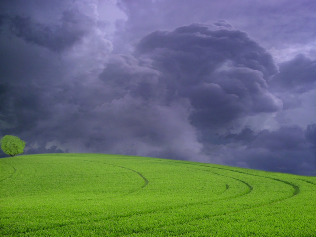 rain wallpaper,green,sky,nature,grassland,field