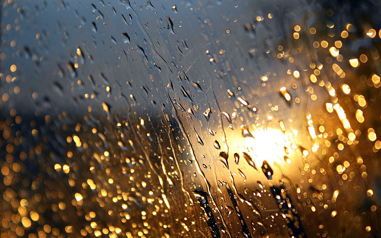 rain wallpaper,water,rain,drop,moisture,drizzle