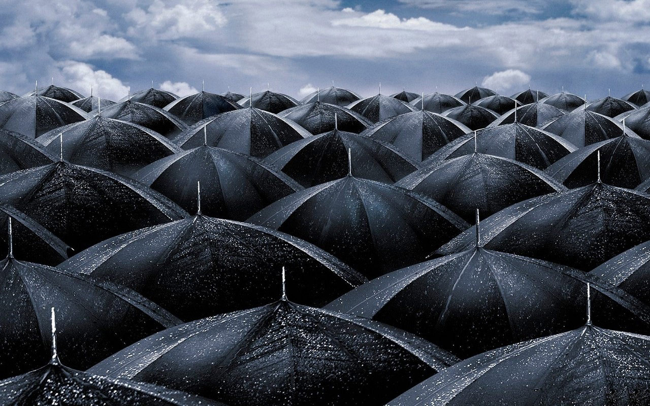 rain wallpaper,sky,rock,black and white,plant,photography