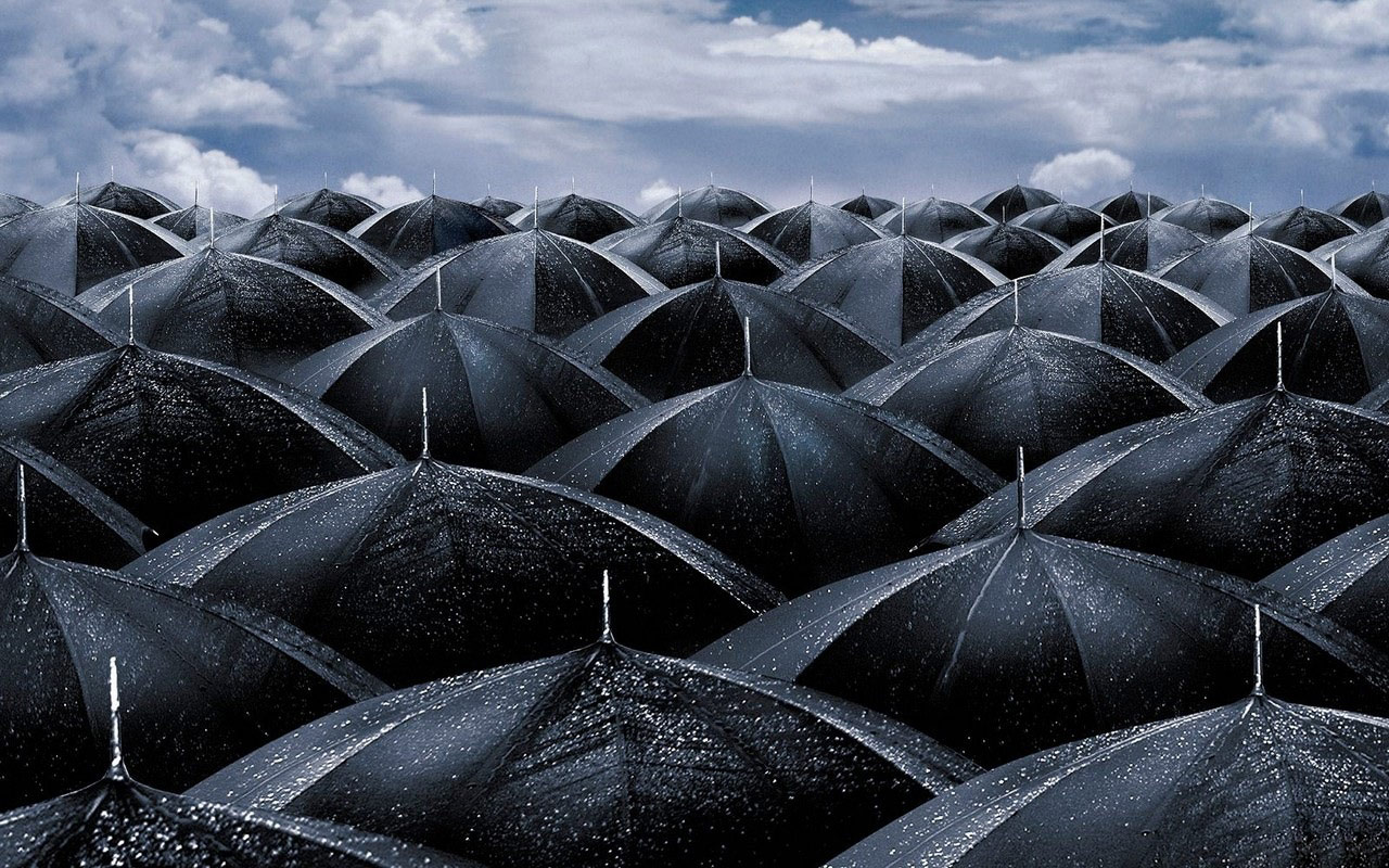 lluvia fondo de pantalla,cielo,rock,en blanco y negro,planta,fotografía