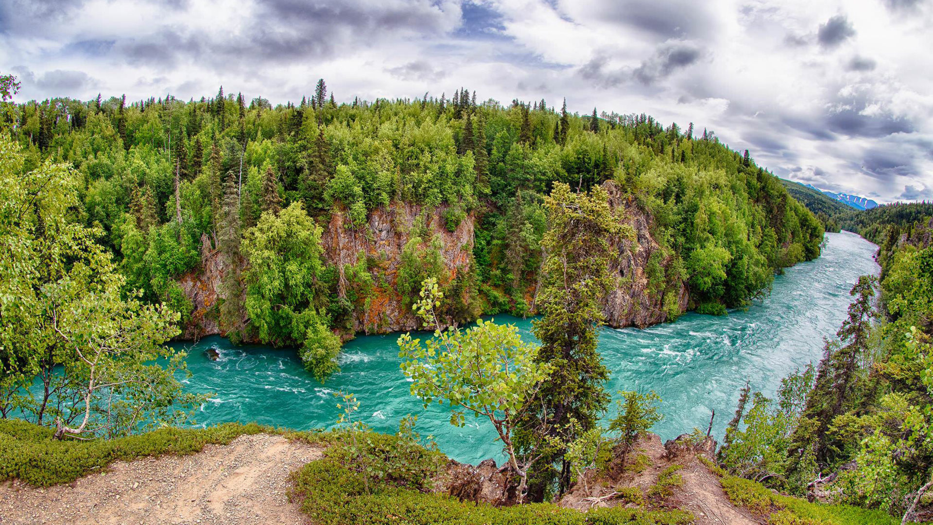 desktop hintergrund hd,natürliche landschaft,natur,baum,wasser,wasservorräte