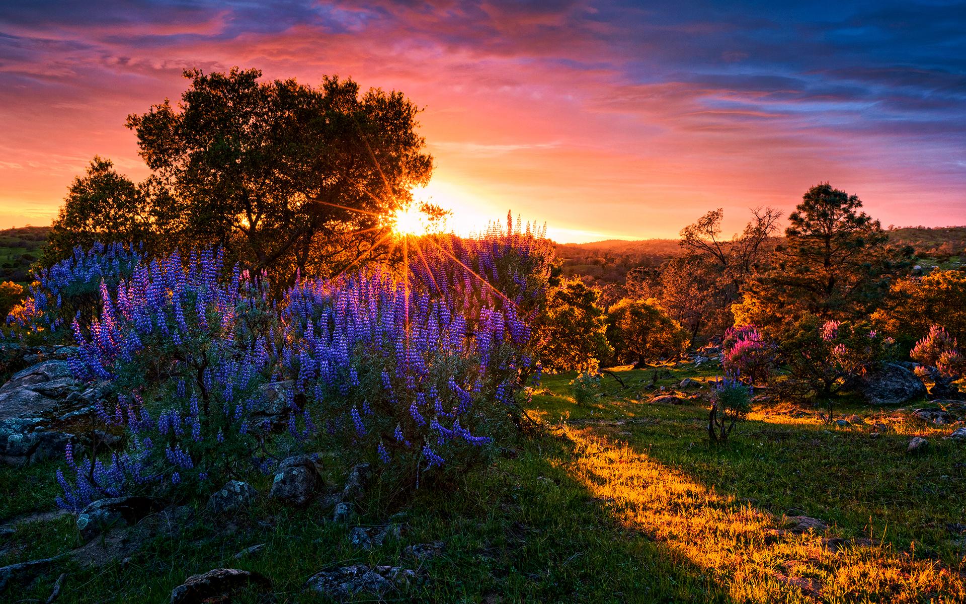 sfondo del desktop hd,paesaggio naturale,cielo,natura,alba,tramonto