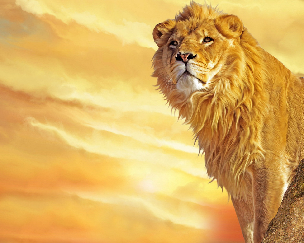 ライオンの壁紙,野生動物,ライオン,ネコ科,マサイライオン,陸生動物
