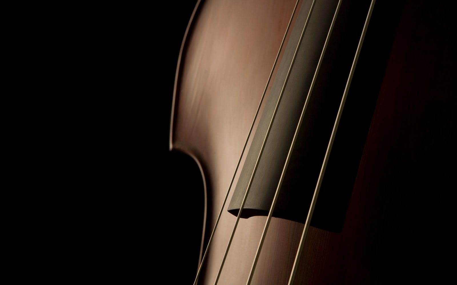 fondo de pantalla de música,instrumento musical,tololoche,violín,violonchelo,música