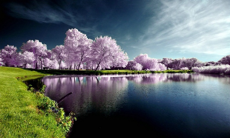 fondo de pantalla de pc,paisaje natural,naturaleza,reflexión,cielo,árbol