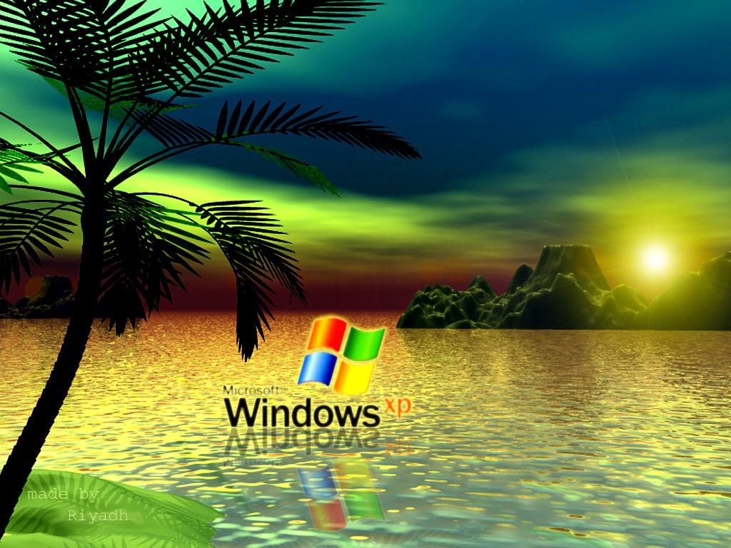 fondo de pantalla de pc,naturaleza,paisaje natural,cielo,palmera,árbol