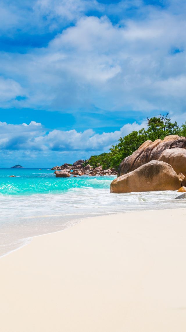 carta da parati da spiaggia,corpo d'acqua,natura,spiaggia,paesaggio naturale,riva