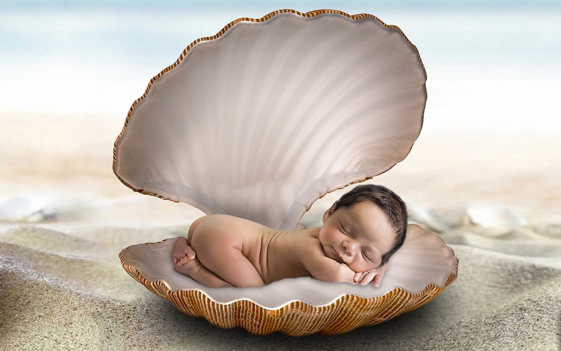 papier peint bébé,produit,coquille,bébé,enfant,bébé qui dort