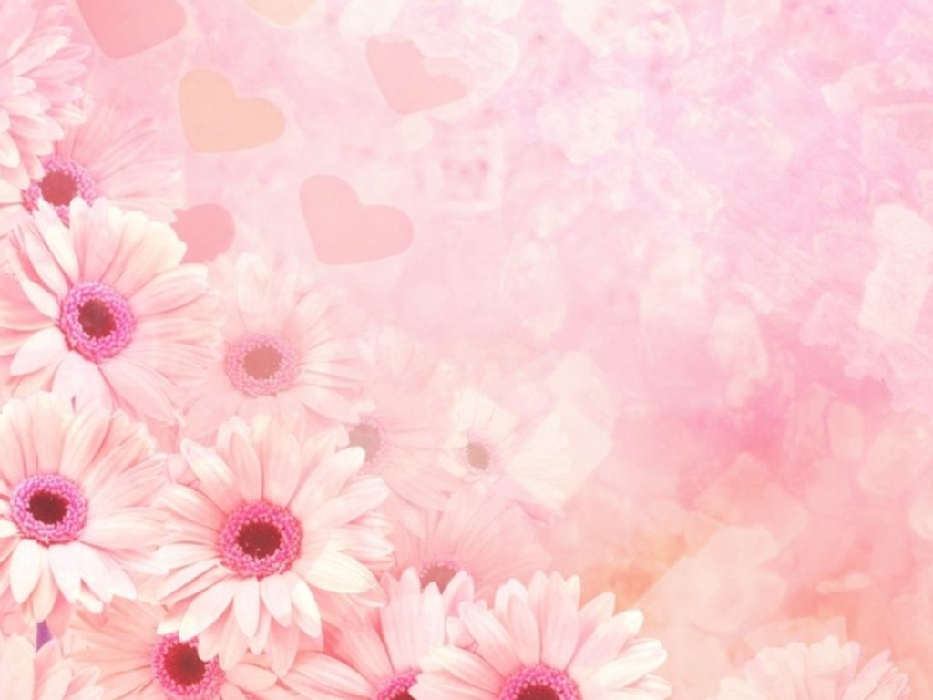 핑크 벽지,분홍,꽃잎,꽃,거베라,꽃 무늬 디자인