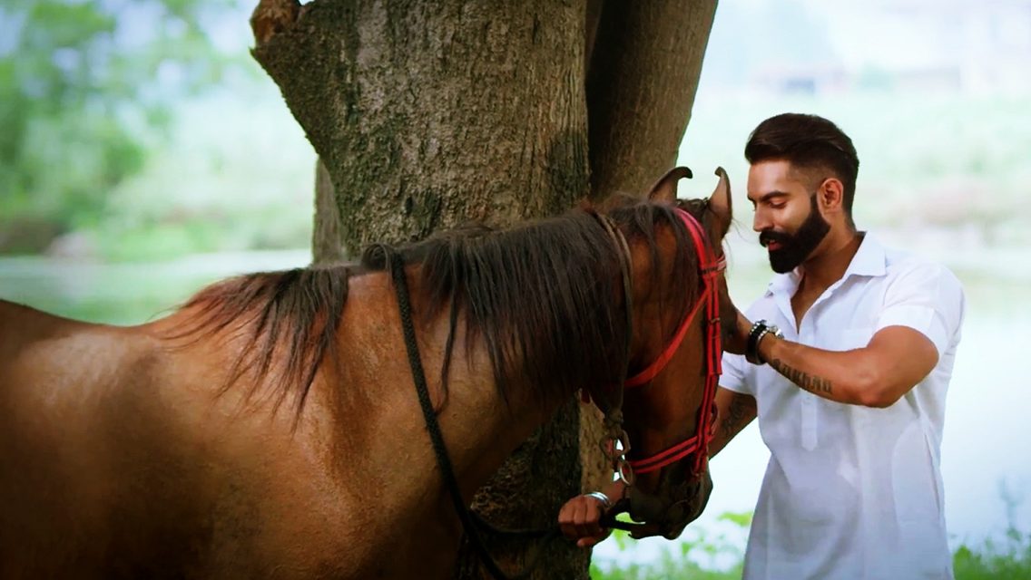 parmish verma wallpaper,pferd,stute,hengst,mähne