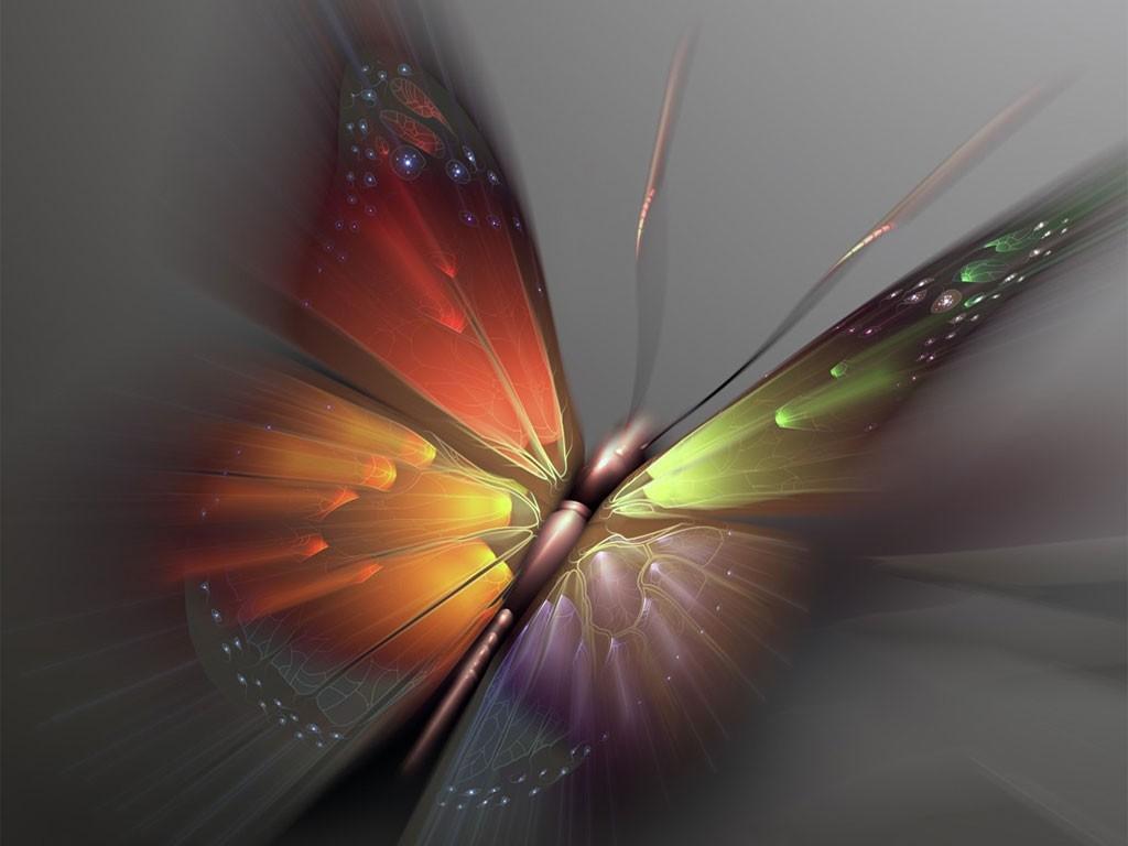 fond d'écran kupu kupu,papillon,orange,macro photographie,insecte,papillons et papillons
