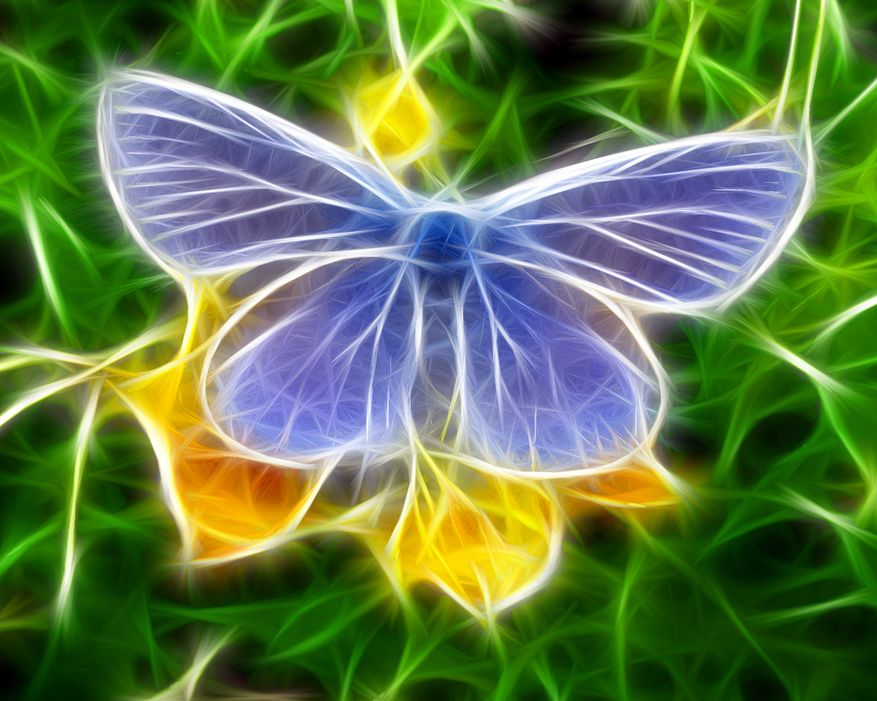 wallpaper kupu kupu,butterfly,insect,moths and butterflies,pollinator,organism