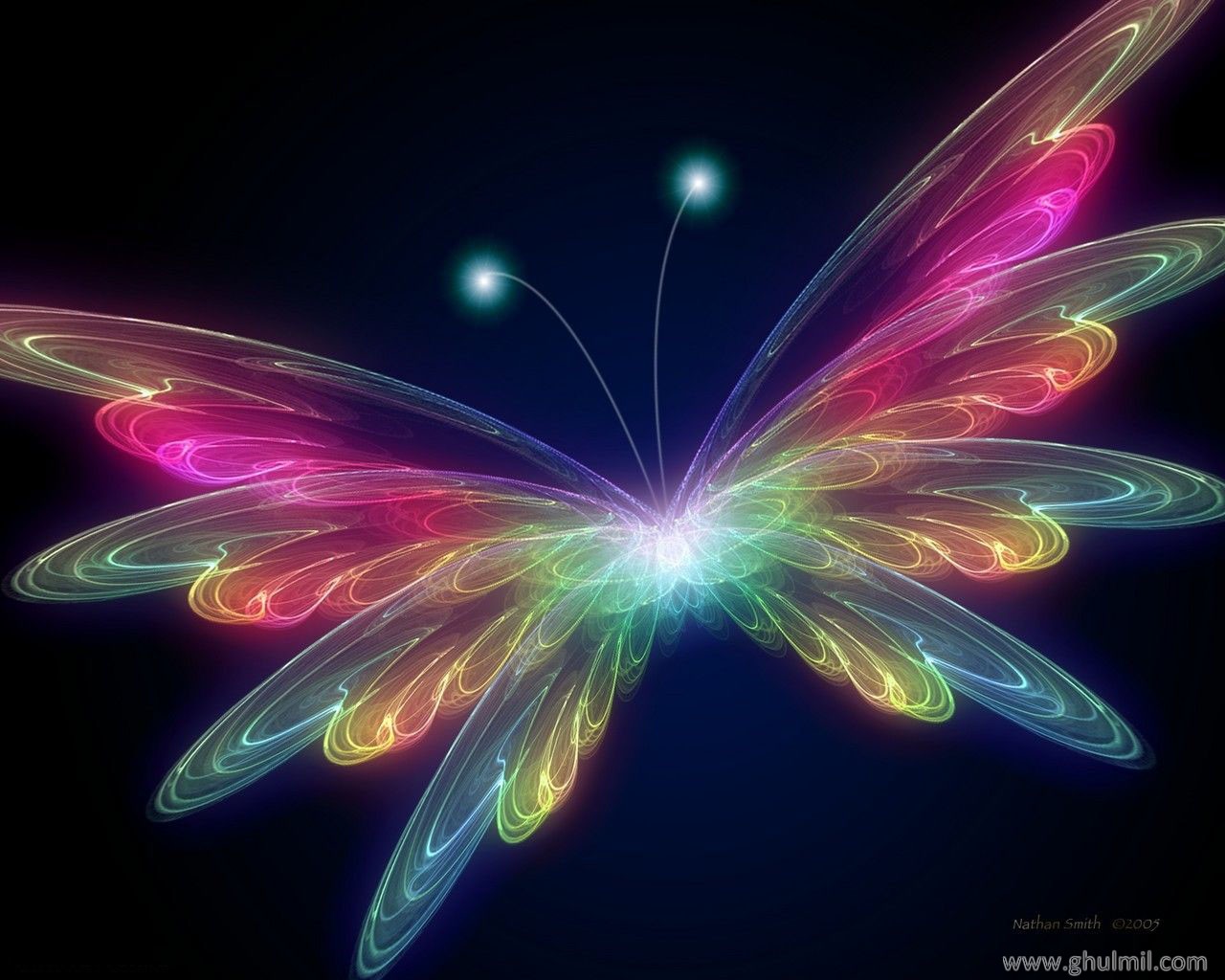fond d'écran kupu kupu,papillon,néon,rose,art fractal,conception graphique
